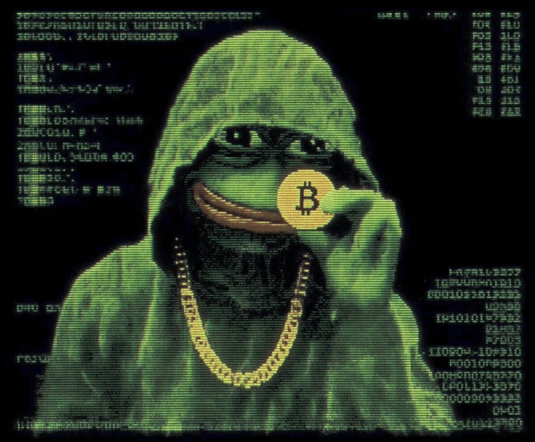 Bitcoin matrix Pepe - a Pepe meme on farm.meme