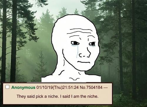 i am the niche - a Wojak meme on farm.meme