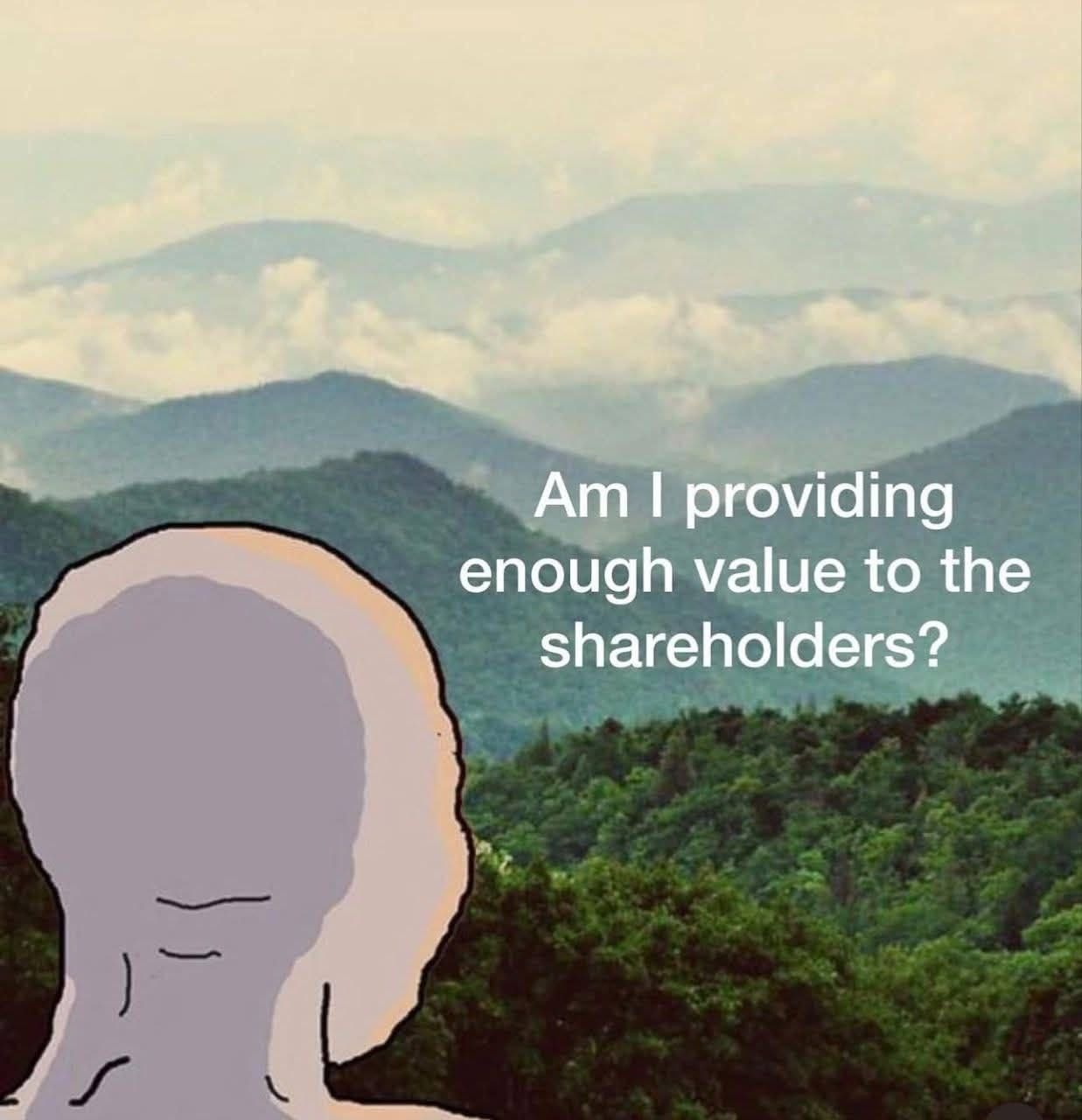 Wojak ponders shareholder value - a Wojak meme on farm.meme