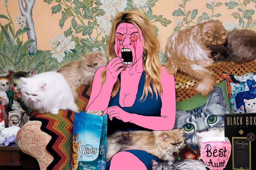 Pink wine cat lady seethes - a Wojak meme on farm.meme