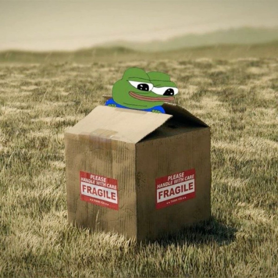 Apu in a fragile box - a Apu Apustaja meme on farm.meme