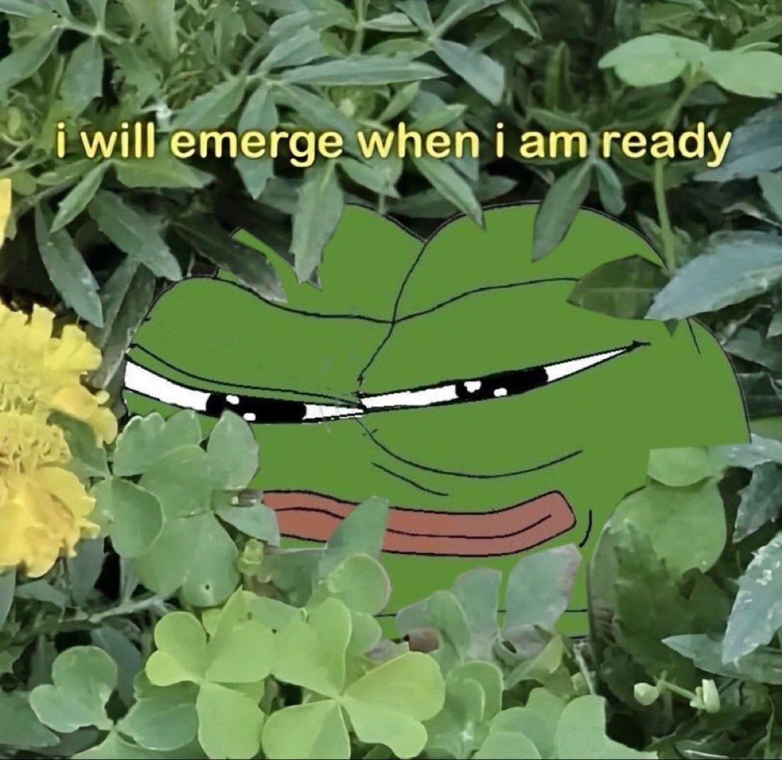 I will emerge when I am ready - a Pepe meme on farm.meme