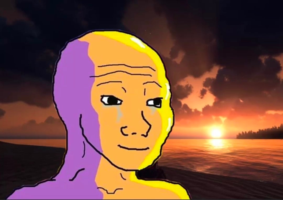 Euphoria Wojak at sunset - a Wojak meme on farm.meme