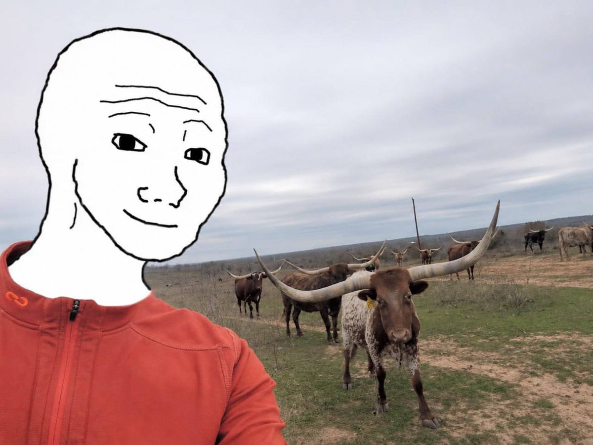 Wojak sees bulls on the ranch - a Wojak meme on farm.meme