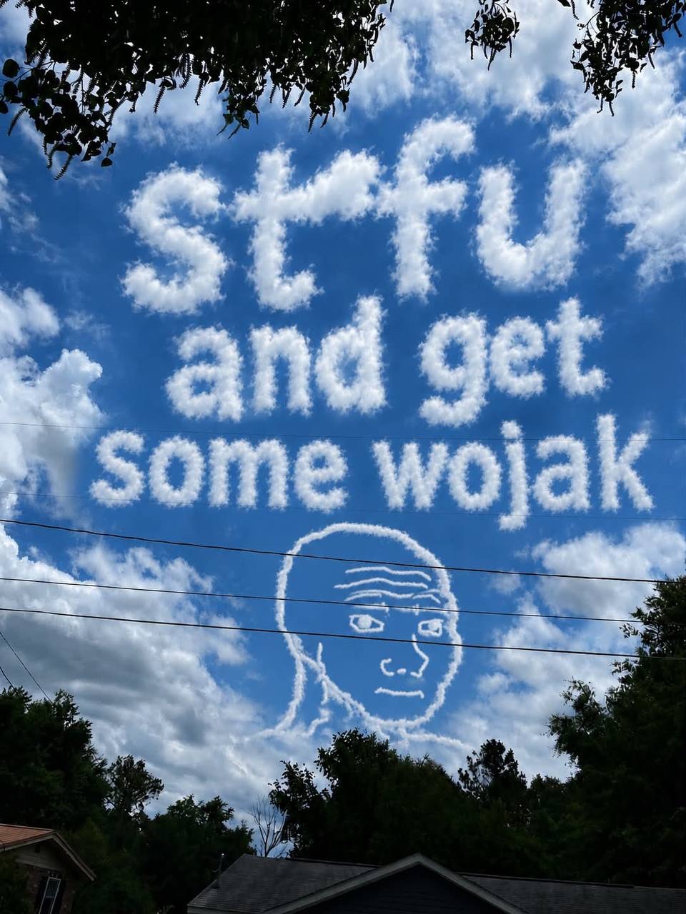 STFU and get some WOJAK in the clouds - a Wojak meme on farm.meme