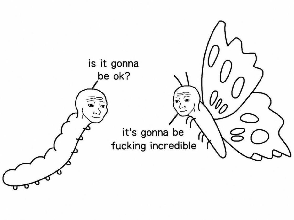 Wojak caterpillar meets Wojak butterfly - a Wojak meme on farm.meme